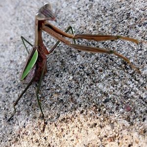 Meet your Posher, Austin